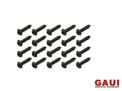 GAUI – BIG NUTS JP