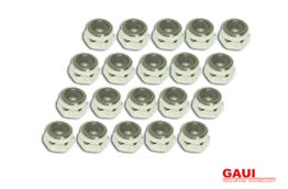 GAUI – BIG NUTS JP