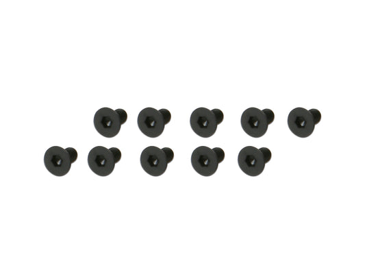 GAUI ソケット皿ねじ Black M3x6 [10] #208855